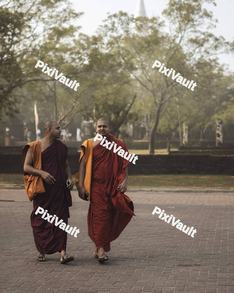 Two Buddhist monks walking